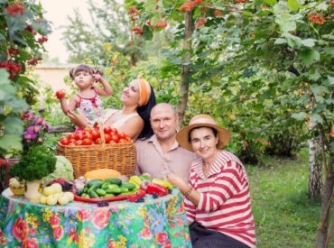Консультация для родителей «Дача – территория развития: организуем детское пространство за городом»